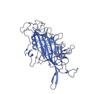 7071_6b9q_r_v1-2
Single particle cryo-EM structure determination of the LuIII capsid protein