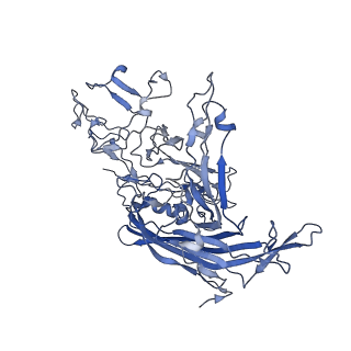 7071_6b9q_x_v1-3
Single particle cryo-EM structure determination of the LuIII capsid protein