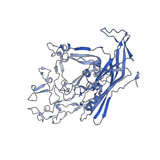 7071_6b9q_y_v1-3
Single particle cryo-EM structure determination of the LuIII capsid protein