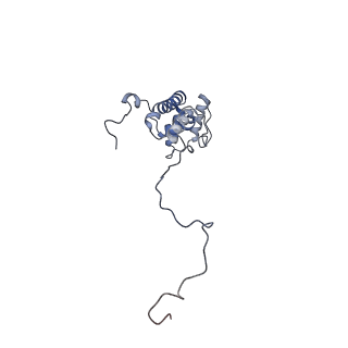 15937_8ba0_X_v1-0
Drosophila melanogaster complex I in the Twisted state (Dm2)