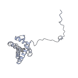 15937_8ba0_Y_v1-0
Drosophila melanogaster complex I in the Twisted state (Dm2)