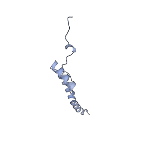 15937_8ba0_a_v1-0
Drosophila melanogaster complex I in the Twisted state (Dm2)
