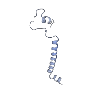 15937_8ba0_b_v1-0
Drosophila melanogaster complex I in the Twisted state (Dm2)