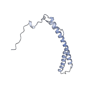 15937_8ba0_d_v1-0
Drosophila melanogaster complex I in the Twisted state (Dm2)