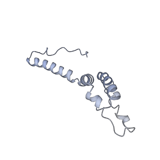 15937_8ba0_e_v1-0
Drosophila melanogaster complex I in the Twisted state (Dm2)