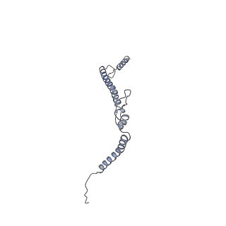 15937_8ba0_h_v1-0
Drosophila melanogaster complex I in the Twisted state (Dm2)