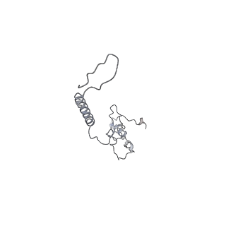 15937_8ba0_l_v1-0
Drosophila melanogaster complex I in the Twisted state (Dm2)