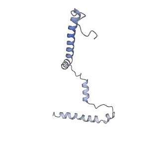 15937_8ba0_m_v1-0
Drosophila melanogaster complex I in the Twisted state (Dm2)