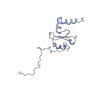 15937_8ba0_q_v1-0
Drosophila melanogaster complex I in the Twisted state (Dm2)