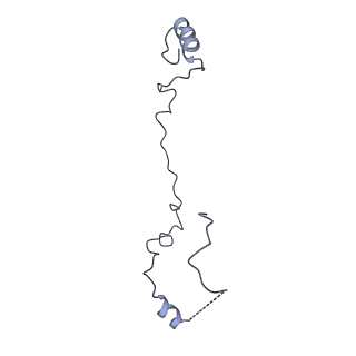 15937_8ba0_r_v1-0
Drosophila melanogaster complex I in the Twisted state (Dm2)