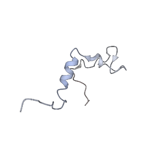 15937_8ba0_s_v1-0
Drosophila melanogaster complex I in the Twisted state (Dm2)