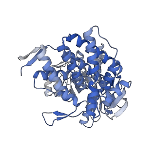 15939_8ba7_A_v1-1
CryoEM structure of nucleotide-free GroEL-Rubisco.