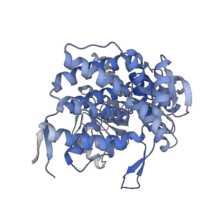 15939_8ba7_B_v1-1
CryoEM structure of nucleotide-free GroEL-Rubisco.