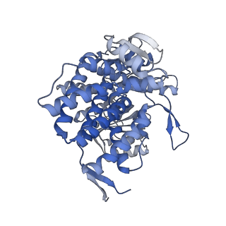 15939_8ba7_C_v1-1
CryoEM structure of nucleotide-free GroEL-Rubisco.