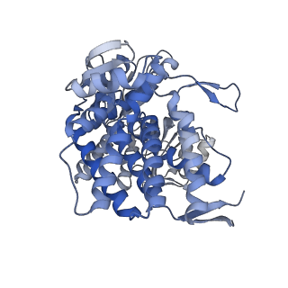 15939_8ba7_D_v1-1
CryoEM structure of nucleotide-free GroEL-Rubisco.