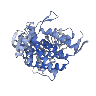 15939_8ba7_E_v1-1
CryoEM structure of nucleotide-free GroEL-Rubisco.