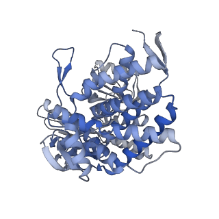 15939_8ba7_F_v1-1
CryoEM structure of nucleotide-free GroEL-Rubisco.