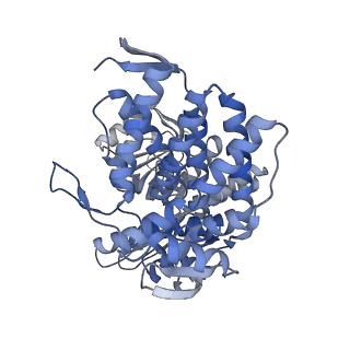 15939_8ba7_G_v1-1
CryoEM structure of nucleotide-free GroEL-Rubisco.