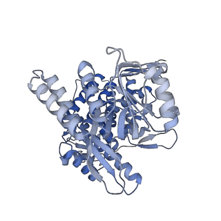 15939_8ba7_H_v1-1
CryoEM structure of nucleotide-free GroEL-Rubisco.