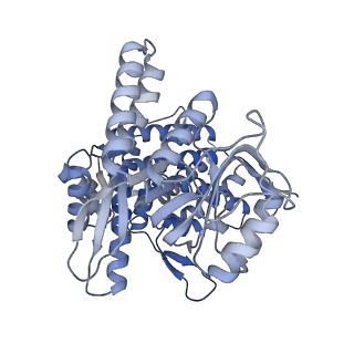 15939_8ba7_I_v1-1
CryoEM structure of nucleotide-free GroEL-Rubisco.