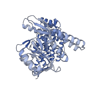 15939_8ba7_K_v1-1
CryoEM structure of nucleotide-free GroEL-Rubisco.