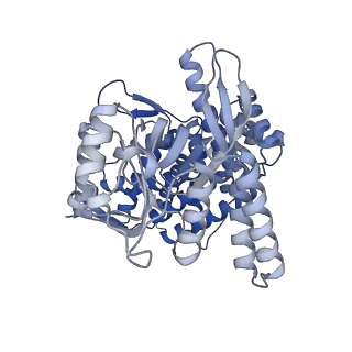 15939_8ba7_L_v1-1
CryoEM structure of nucleotide-free GroEL-Rubisco.