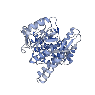 15939_8ba7_M_v1-1
CryoEM structure of nucleotide-free GroEL-Rubisco.