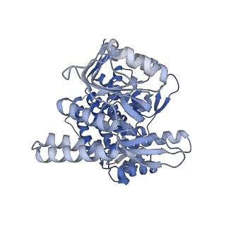 15939_8ba7_N_v1-1
CryoEM structure of nucleotide-free GroEL-Rubisco.
