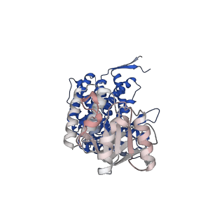 15940_8ba8_B_v1-0
CryoEM structure of GroEL-ADP.BeF3-Rubisco.