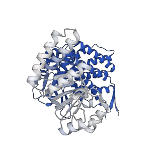 15940_8ba8_D_v1-0
CryoEM structure of GroEL-ADP.BeF3-Rubisco.