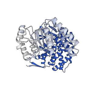15940_8ba8_F_v1-0
CryoEM structure of GroEL-ADP.BeF3-Rubisco.