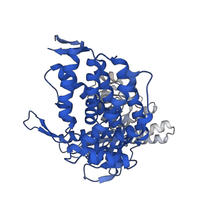 15940_8ba8_I_v1-0
CryoEM structure of GroEL-ADP.BeF3-Rubisco.