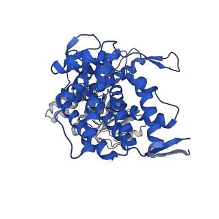 15940_8ba8_M_v1-0
CryoEM structure of GroEL-ADP.BeF3-Rubisco.