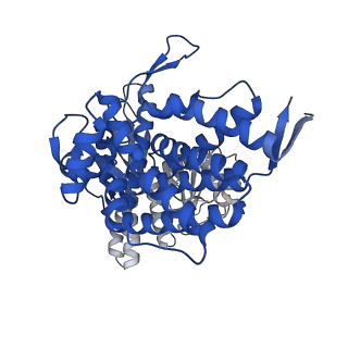 15940_8ba8_N_v1-0
CryoEM structure of GroEL-ADP.BeF3-Rubisco.