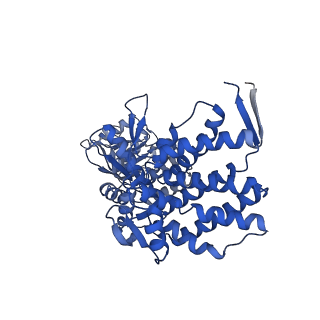 15942_8ba9_A_v1-0
CryoEM structure of GroEL-GroES-ADP.AlF3-Rubisco.