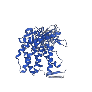15942_8ba9_C_v1-0
CryoEM structure of GroEL-GroES-ADP.AlF3-Rubisco.