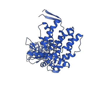 15942_8ba9_G_v1-0
CryoEM structure of GroEL-GroES-ADP.AlF3-Rubisco.