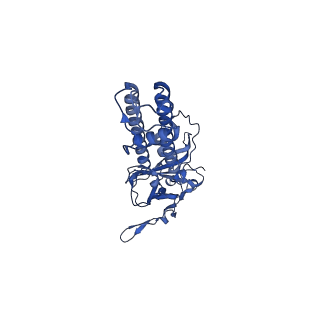 7073_6baa_A_v1-3
Cryo-EM structure of the pancreatic beta-cell KATP channel bound to ATP and glibenclamide