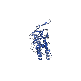 7073_6baa_C_v1-3
Cryo-EM structure of the pancreatic beta-cell KATP channel bound to ATP and glibenclamide