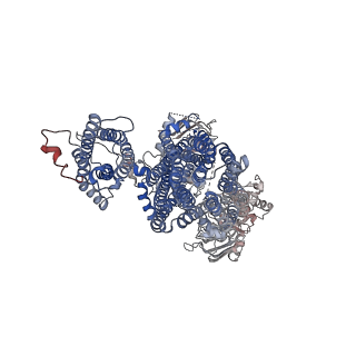 7073_6baa_E_v1-3
Cryo-EM structure of the pancreatic beta-cell KATP channel bound to ATP and glibenclamide