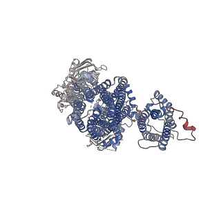 7073_6baa_G_v1-3
Cryo-EM structure of the pancreatic beta-cell KATP channel bound to ATP and glibenclamide