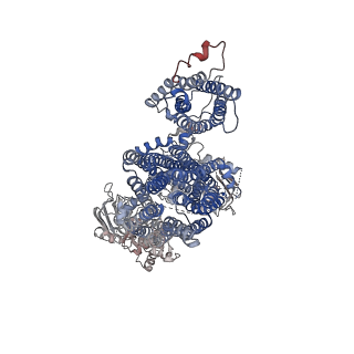 7073_6baa_H_v1-3
Cryo-EM structure of the pancreatic beta-cell KATP channel bound to ATP and glibenclamide