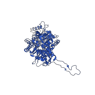 7074_6baj_A_v1-3
Cryo-EM structure of lipid bilayer in the native cell membrane nanoparticles of AcrB