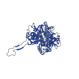7074_6baj_C_v1-3
Cryo-EM structure of lipid bilayer in the native cell membrane nanoparticles of AcrB