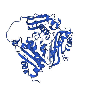 15953_8bb1_A_v1-0
T3 SAM lyase in complex with S-adenosylmethionine synthase
