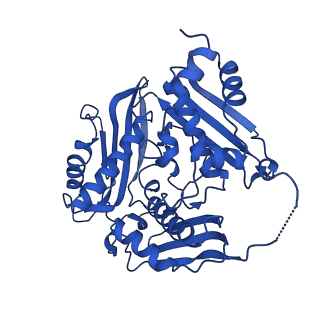 15953_8bb1_C_v1-0
T3 SAM lyase in complex with S-adenosylmethionine synthase