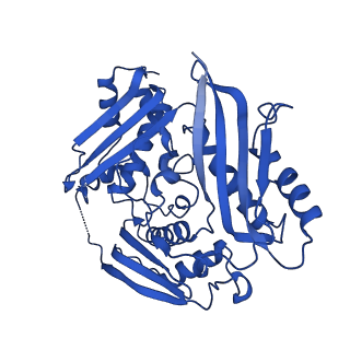 15953_8bb1_D_v1-0
T3 SAM lyase in complex with S-adenosylmethionine synthase