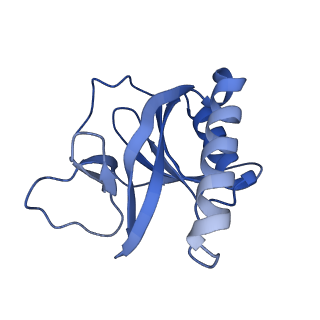 15953_8bb1_E_v1-0
T3 SAM lyase in complex with S-adenosylmethionine synthase