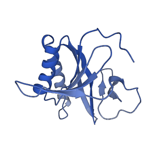 15953_8bb1_F_v1-0
T3 SAM lyase in complex with S-adenosylmethionine synthase