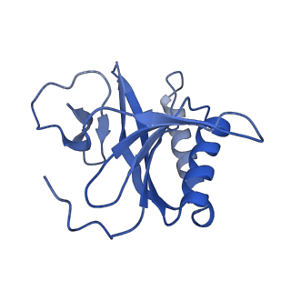 15953_8bb1_H_v1-0
T3 SAM lyase in complex with S-adenosylmethionine synthase